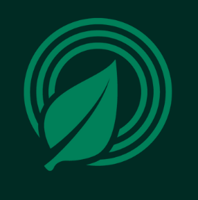 Bilingual Graphic Designer / Content Writer